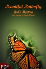 Beautiful Butterfly: Gods Mystery (E-book Download) by Sandy Warner